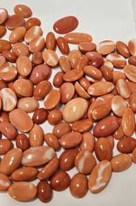 ปะการังแดงญี่ปุ่นธรรมชาติ รูปทรงวงรี คุณภาพดี สีสวย สำหรับทำเครื่องประดับ - Product Image 3