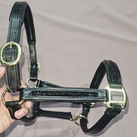 Harnais de cheval en cuir véritable de qualité supérieure, style anglais occidental, durable, réglable, personnalisable en taille et logo AL