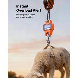 Bilancia Digitale Portatile per Gru, Capacità Massima 300 kg, Struttura in Alluminio Pressofuso con Display LCD, Divisibilità 0,1 kg - Product Image 5