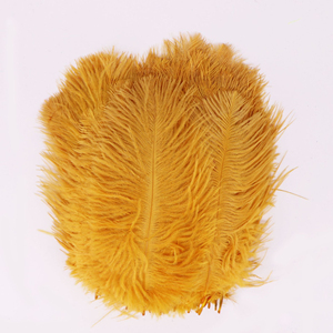 Plumes d'autruche en gros, stock frais de qualité supérieure, directement destinées aux réseaux de distribution mondiaux - Product Image 1