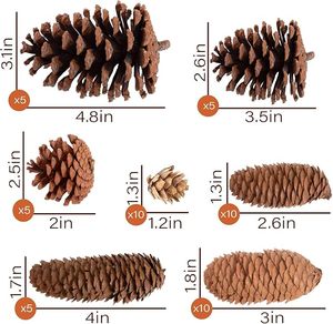 โคนต้นสนธรรมชาติขนาด 3.5-5 นิ้ว โคนต้นสนขนาดใหญ่ เป็นมิตรกับสิ่งแวดล้อม รับทำโลโก้ตามสั่ง ตกแต่งต้นคริสต์มาส พวงหรีดฤดูใบไม้ร่วง ฤดูหนาว งานฝีมือ DIY - Product Image 4