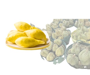 Morceaux de durian congelés, pulpe, saveur originale de Thaïlande pour les importateurs, durian thaïlandais frais, variété Monthong, goût sucré et crémeux, 500g - Product Image 1