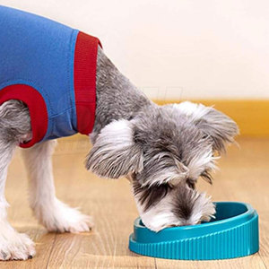 Trajes de lujo para perros de poliéster, ropa informal para cachorros, diseño personalizado, talla ajustable, ropa suave y cómoda para perros - Product Image 5