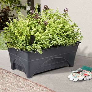 Bac à fleurs auto-arrosant pour patios et espaces intérieurs - Product Image 2