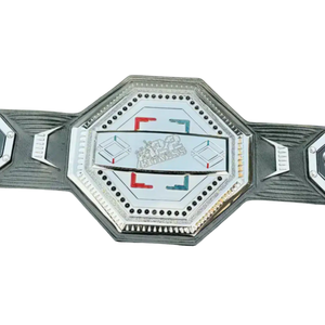 Ceinture de champion personnalisée We Are All Fighters, ceinture de sport de combat personnalisée de haute qualité - Product Image 5