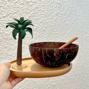 Cuencos de cáscara de coco con logotipo láser personalizado con acabado de aceite para colecciones de cocina rústicas y ecológicas modernas, venta al por mayor de Vietnam - Product Image 5