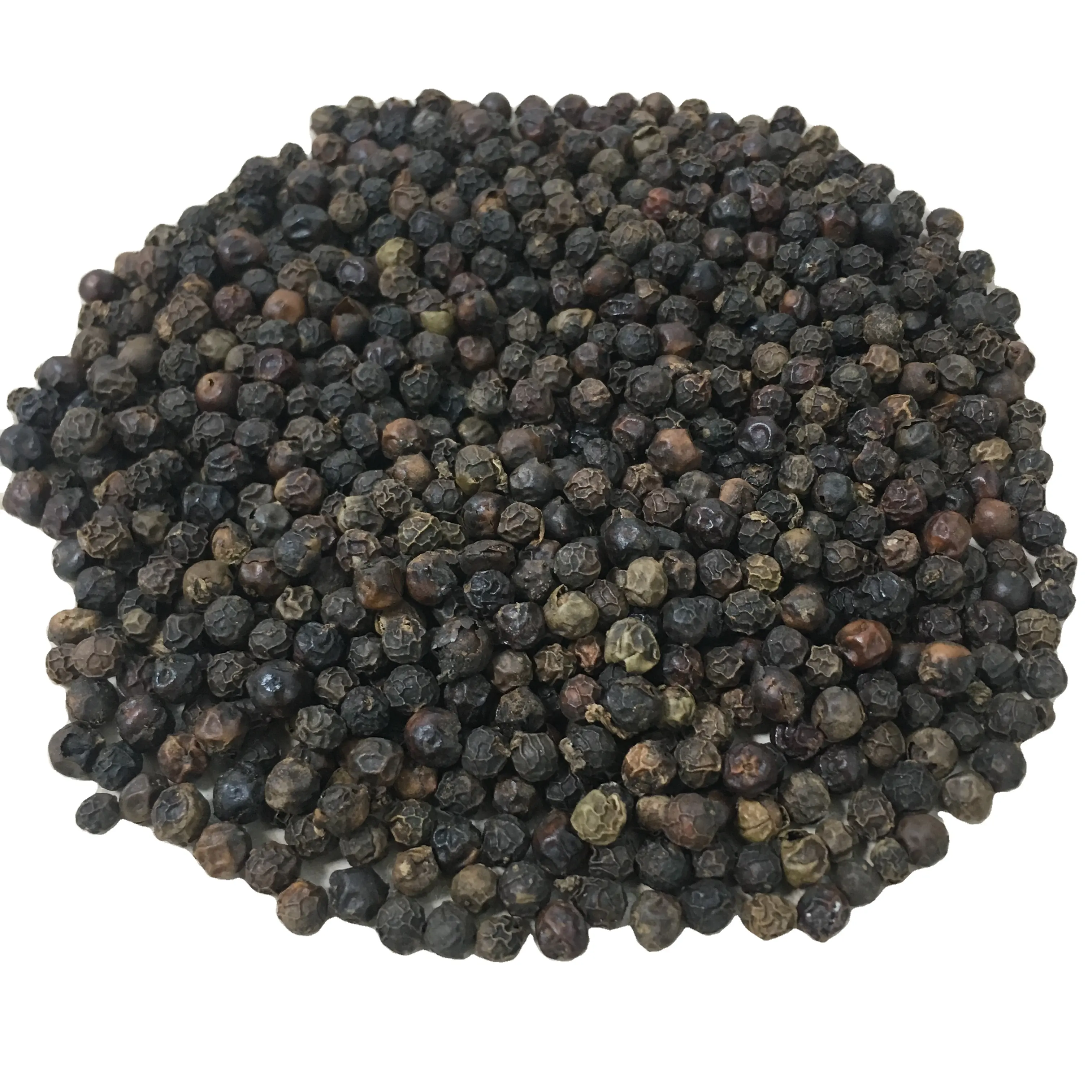 BLACK PEPPER & WHITE PEPPER VIETNAM Asal Harga Pasar Terbaik & Kualitas Terbaik + 84359313086