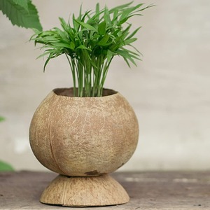 Luxury Flower Pot Coconut Shell Decorative Wood <b>Small</b> Pots Hanging <b>Planters</b> for Flower Home and Garden Accessories - Product Image 3