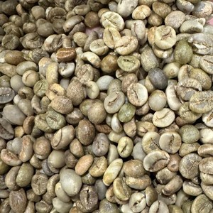 Precio competitivo para café verde Robusta listo para enviar, grado 1, perfecto para especialesidades, origen Vietnam, en bolsas de PP. - Product Image 4