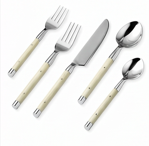 <b>Vintage</b> Flatware Set With Cream Resin Handles Mirror Polished Stainless Steel Spoon Fork Knife Dishwasher <b>Safe</b> Cutlery For Home - Product Image 1