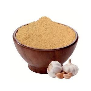 Poudre d'ail séché biologique premium en vrac, haute qualité, pour formulations alimentaires instantanées, exportateur d'Inde au meilleur prix, export Desi - Product Image 1