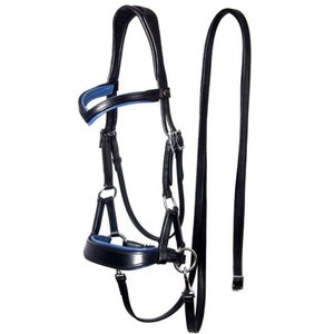 Brida para Caballo con Logotipo Personalizado, Acolchada y Colorida, con Cuero Vacuno Suave para Montar a Caballo, Productos Ecuestres - Product Image 2