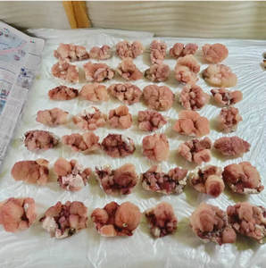 Lote de Stilbites Rojos Naturales, Cristales Premium para Exhibición, Colección, Sanación, Regalo Decorativo de Alta Calidad - Product Image 3