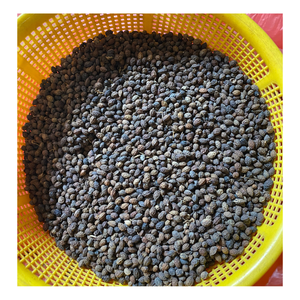 Graines de papaye séchées et nettoyées à la machine |   Exportateur en gros de produits vietnamiens de première qualité pour les applications de fabrication - Product Image 1