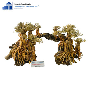 Décoration d'aquarium en bois flotté naturel personnalisée Thanh Tung Thinh, forme irrégulière, durable, écologique, en provenance du Vietnam - Product Image 3
