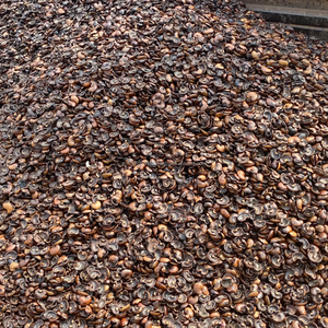 Résidus de coques de noix de cajou broyées KMI - Combustible biomasse pour l'industrie énergétique |   Meilleur prix pour les commandes en gros |   Fournisseur Vietnamien - Product Image 2