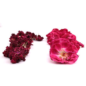 Flor de Rosa Seca |   Flores de Rosa Secas | Imágenes de flores de rosa secas |   Rosa Seca Rosa | Precio por kg de flores de rosa secas | rosas secas frescas - Product Image 6