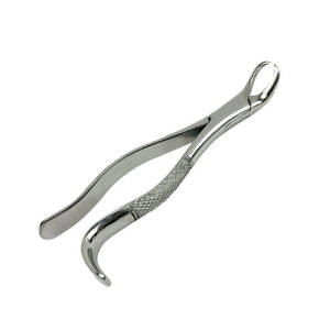 Pinzas de Extracción Dental SHAHZIK INTERNATIONAL, Modelo Americano |   Instrumentos Quirúrgicos de Acero Inoxidable Accionados por Turbina - Product Image 4