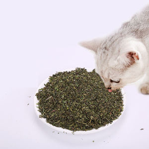 Hierba de Catnip Seca a Granel al por Mayor, Hojas Sueltas de Catnip, 100% Natural, Fresca, Corte Fino y Corte Grueso, Suministro OEM a Granel - Product Image 6
