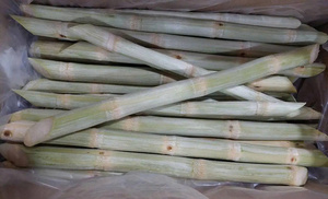 Caña de Azúcar Congelada de Vietnam, Lista para Comer, Palitos de Caña Pelados para Venta al por Menor, Supermercados y Servicios de Alimentos - Product Image 1