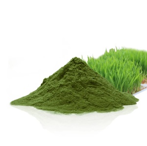 100% Natural Spray <b>Dried</b> <b>Wheat</b> Grass Powder Pure Herbal Food Grade <b>Wheat</b> Grass Powder Supports Natural Body Cleansing & Health - Product Image 4
