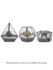 Terrarium en verre élégant et transparent pour plantes d'intérieur, succulentes, plantes aériennes ou miniatures - Product Image 5