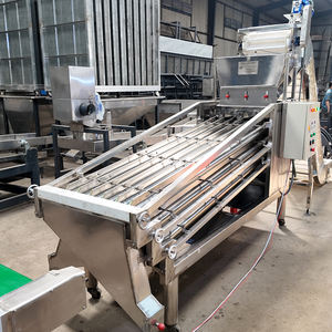 Máquina clasificadora de anacardos de gran capacidad, la más vendida en Vietnam, con motor de 3 HP, alta calidad y precio económico en 2023 - Product Image 1