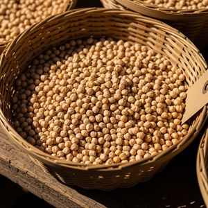 Garbanzos secos procesados con cuidado, venta al por mayor de garbanzos para compradores internacionales que buscan granos de tamaño uniforme - Product Image 3