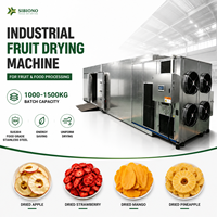 500-800 Warmtepomp Fruitdroogmachine SUS304 Loquat Blauwe Bes Abrikoos Automatische Dehydrator voor Voedselverwerkingsfabriek
