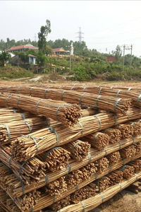Varas de Bambú de Calidad de Exportación, Proveedor de Vietnam, Material Ecológico para Construcción, Proyectos al Aire Libre y Manualidades - Product Image 5