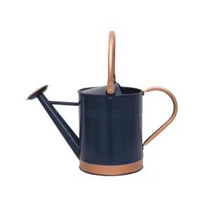 Arrosoir en métal au design élégant avec long bec verseur, outil de jardinage - Product Image 1