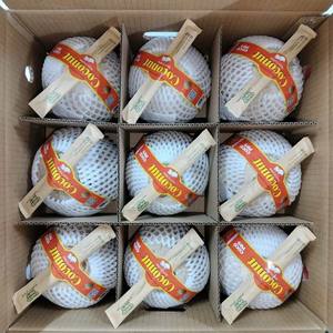 Noix de coco semi-décortiquée de haute qualité d'origine vietnamienne, vente en gros pour les marques de boissons, 100% pure, naturelle, fraîche, fruit tropical mûr - Product Image 2