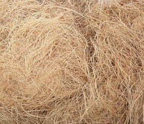 Fibra de Coco Natural de Vietnam – Fibra de Coco de Alta Calidad, Resistente y Duradera // Mr. Tom - Product Image 5