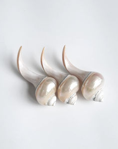 Reposapalillos Artesanal Ecológico de Concha Marina Vietnamita, Concha Costera Natural de Khanh Hoa para Decoración de Mesa de Cocina Asiática - Product Image 1