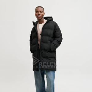 Blouson matelassé streetwear pour homme, à capuche, imperméable, coupe-vent, personnalisé, pour le printemps, style universitaire, pour moto, en duvet de canard - Product Image 1