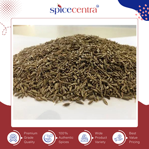 ยี่หร่าอบแห้งบริสุทธิ์ 100% แบบปรับแต่งได้ ยี่หร่าเม็ดเต็มจากสิงคโปร์ 1% 500 กก. อายุการเก็บรักษา 12 เดือน Spicecentra ผู้จัดจำหน่ายจากอินเดีย - Product Image 3