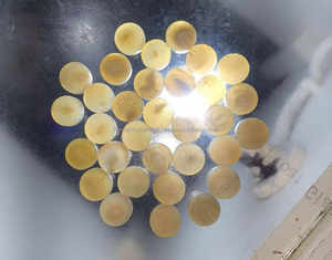 Botón de Cuerno de Búfalo Ecológico con Cuentas, Color Negro Natural, para Prendas de Vestir, Precio Económico, de Fabricante Indio - Product Image 4