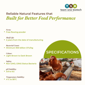 Action probiotique Améliorateur d'aliments pour volailles Complément alimentaire pour animaux - Product Image 4