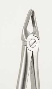 Forceps d'extraction dentaire à surface mate avec becs dentelés en acier inoxydable chirurgical – Instrument d'extraction dentaire - Product Image 2
