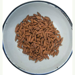 Noix de pin de qualité supérieure à vendre - Vente en gros de noyaux de pin rouge naturels - Product Image 6