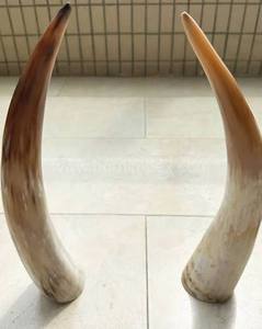 เขาสัตว์วีกิ้งคุณภาพสูงสำหรับดื่ม ทำด้วยมือจากเขาควายธรรมชาติ พร้อมฐานตั้ง ขัดเงาอย่างดี - Product Image 4