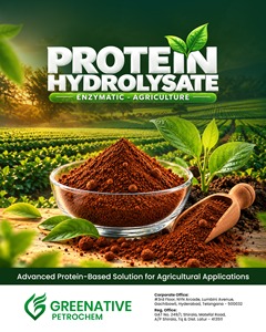 85% Protein Hydrolysate Powder for Agriculture, Organic Nitrogen Fertilizer, High Purity Amino Acid Biostimulant - Product Image 1