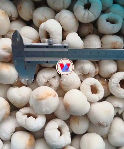Lychees surgelés VDELTA du Vietnam |   Nettoyé et traité |   Commandes en gros - Product Image 3