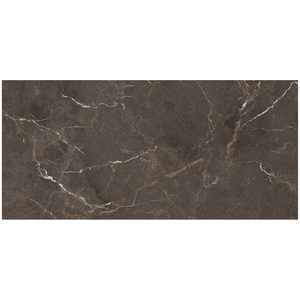 Hygienic Glossy Porcelain Floor <b>Wall</b> Tile 600x1200mm 9mm for Hospital Clinic Medical Center Easy Clean Commercial Tile - Product Image 1