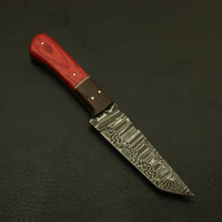 Couteau EDC à lame fixe en acier Damas, pointe tombante, forgé à la main, manche en bois Pakka rouge, bolster en bois, couteau utilitaire pour camping et bushcraft