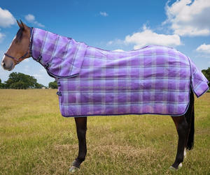 ผ้าคลุมม้าตาข่ายป้องกันรังสียูวีและระบายอากาศสำหรับฤดูร้อน พร้อมโลโก้สั่งทำ - Product Image 4