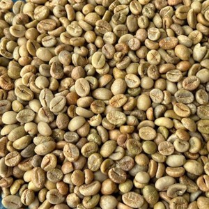 <b>Coffee</b> <b>Beans</b> Wholesale Robusta Honey Process Size 18 <b>Raw</b> <b>Coffee</b> <b>Beans</b> Pure Natural Bulk Export Factory Supply 60kg PP Bags - Product Image 4