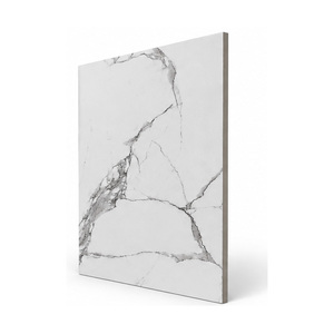 Carreaux de sol en céramique de luxe, aspect marbre, design élégant, 60x60 cm, carreaux de sol intérieurs carrés de qualité supérieure, finition mate - Product Image 1