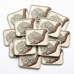 Insignias Bordadas con el Emblema de Juniper Berry Patch, Directo de Fábrica, Escudo Botánico Evergreen para Ropa Exterior - Product Image 4
