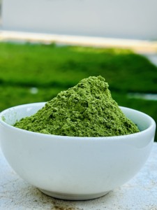 Poudre d'extrait d'herbe de Moringa - Product Image 3